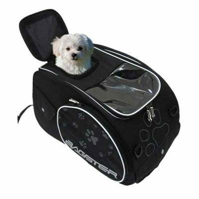 bagster-puppy-borsa-moto-cane